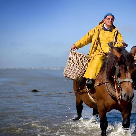 Zeezonzand Koksijde Εξωτερικό φωτογραφία