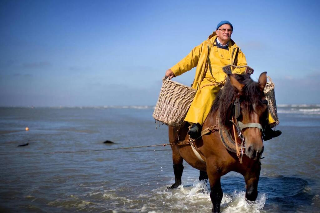 Zeezonzand Koksijde Εξωτερικό φωτογραφία
