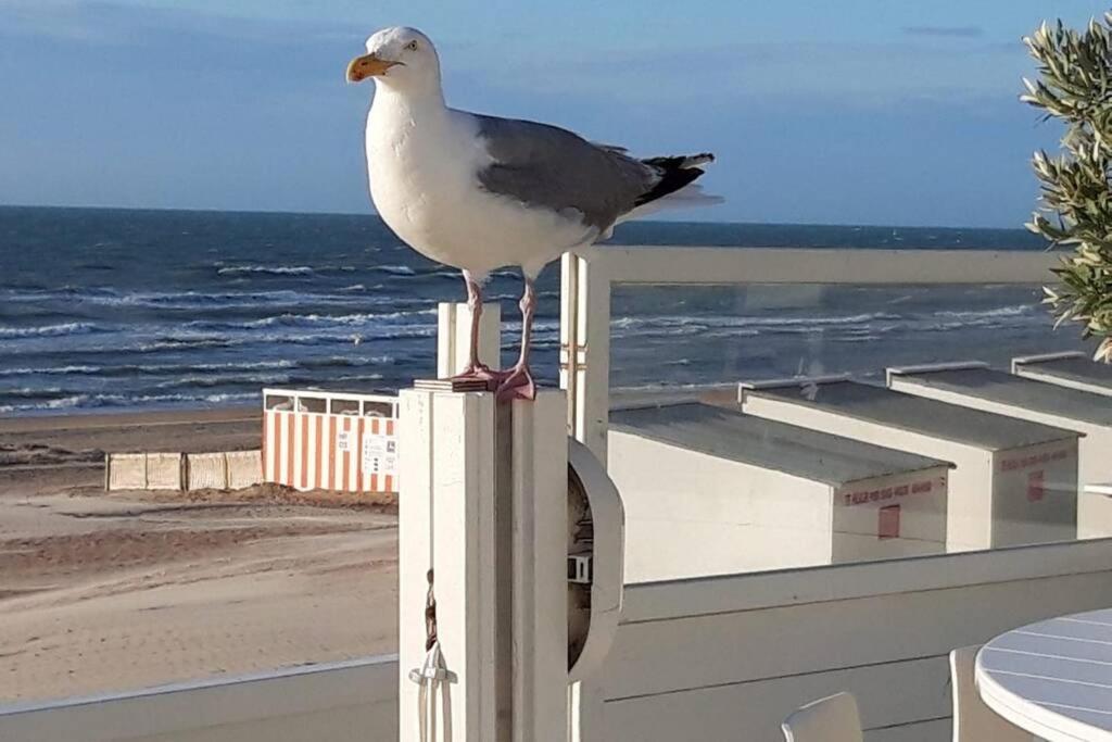 Zeezonzand Koksijde Εξωτερικό φωτογραφία